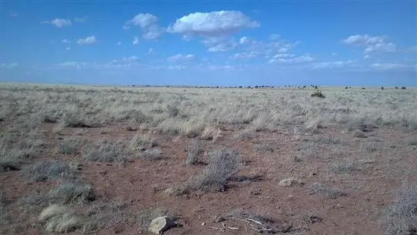 Lot 487 Chevelon Canyon Ranch Unit 3, Heber, AZ 85928
