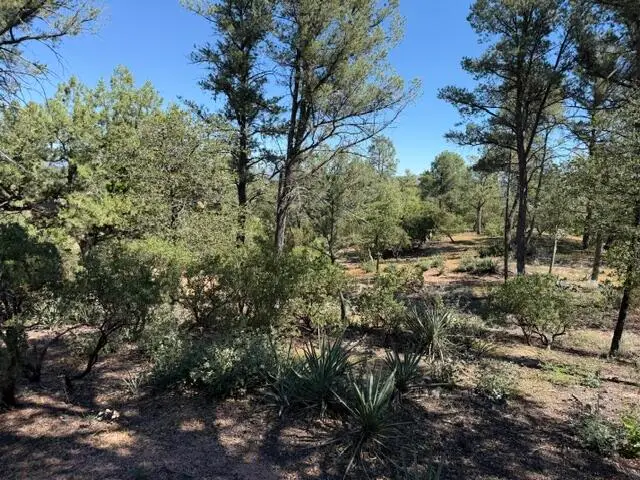 309 S Friendly Glen, Payson, AZ 85541 - #2