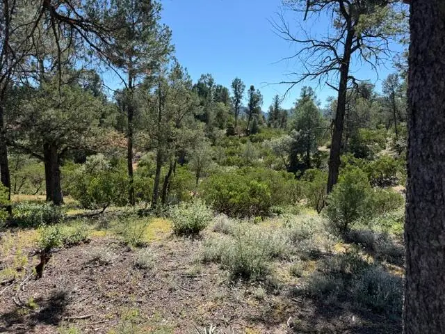309 S Friendly Glen, Payson, AZ 85541 - #3