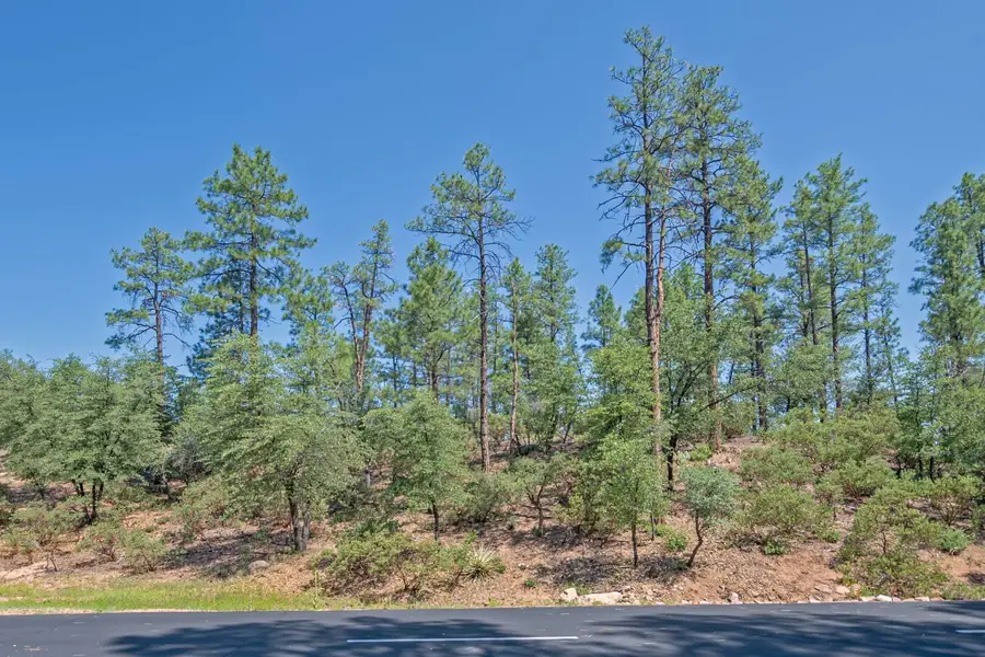 3002 E Purple Sage Drive, Payson, AZ 85541 - #3