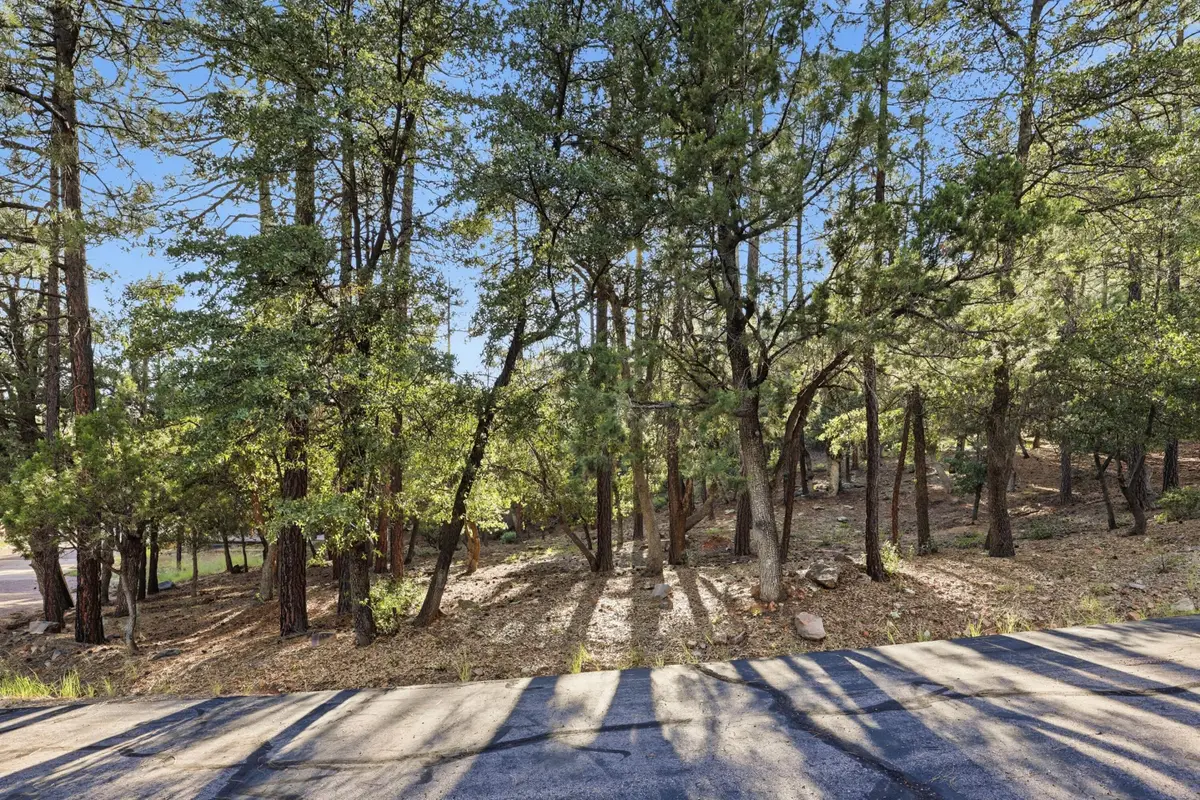 98 Trails End Drive, Pine, AZ 85544 - #1