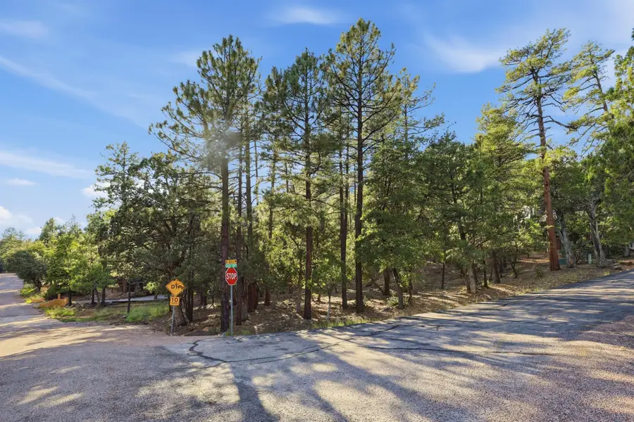 98 Trails End Drive, Pine, AZ 85544 - #2