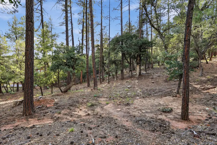 98 Trails End Drive, Pine, AZ 85544 - #3