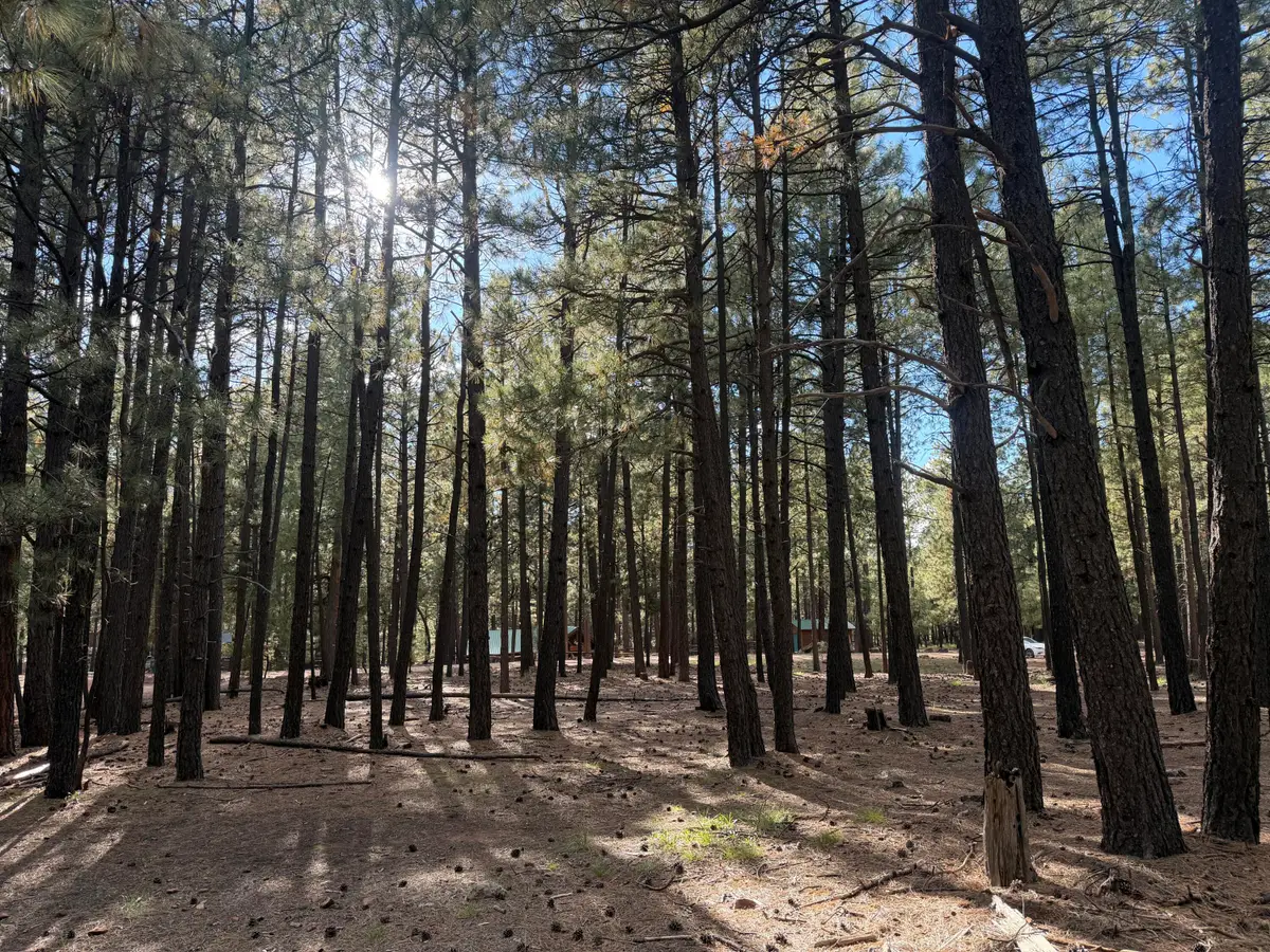 2661 Vacation Drive, Forest Lakes, AZ 85931 - #1