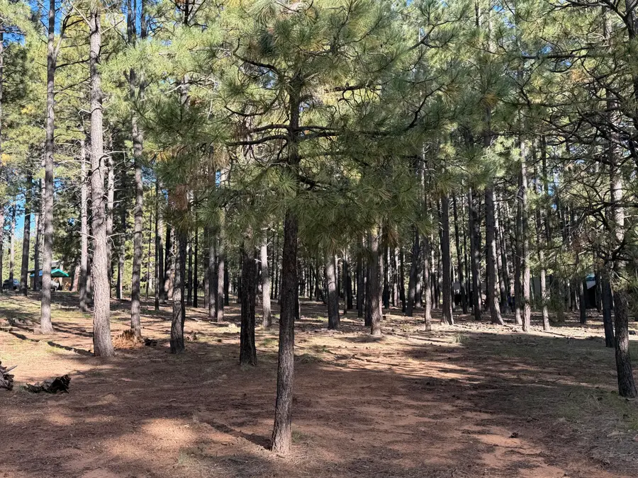2661 Vacation Drive, Forest Lakes, AZ 85931 - #2