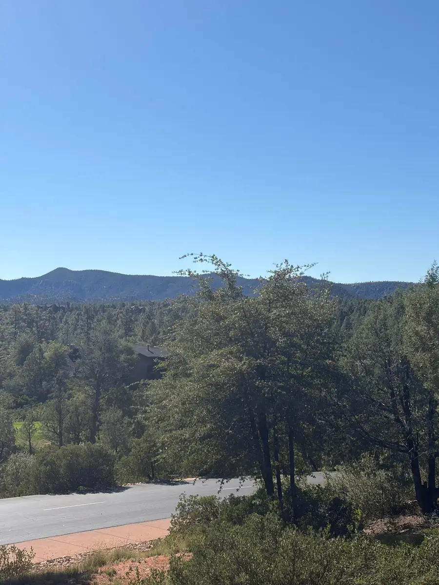 800 N Grapevine Drive, Payson, AZ 85541 - #2