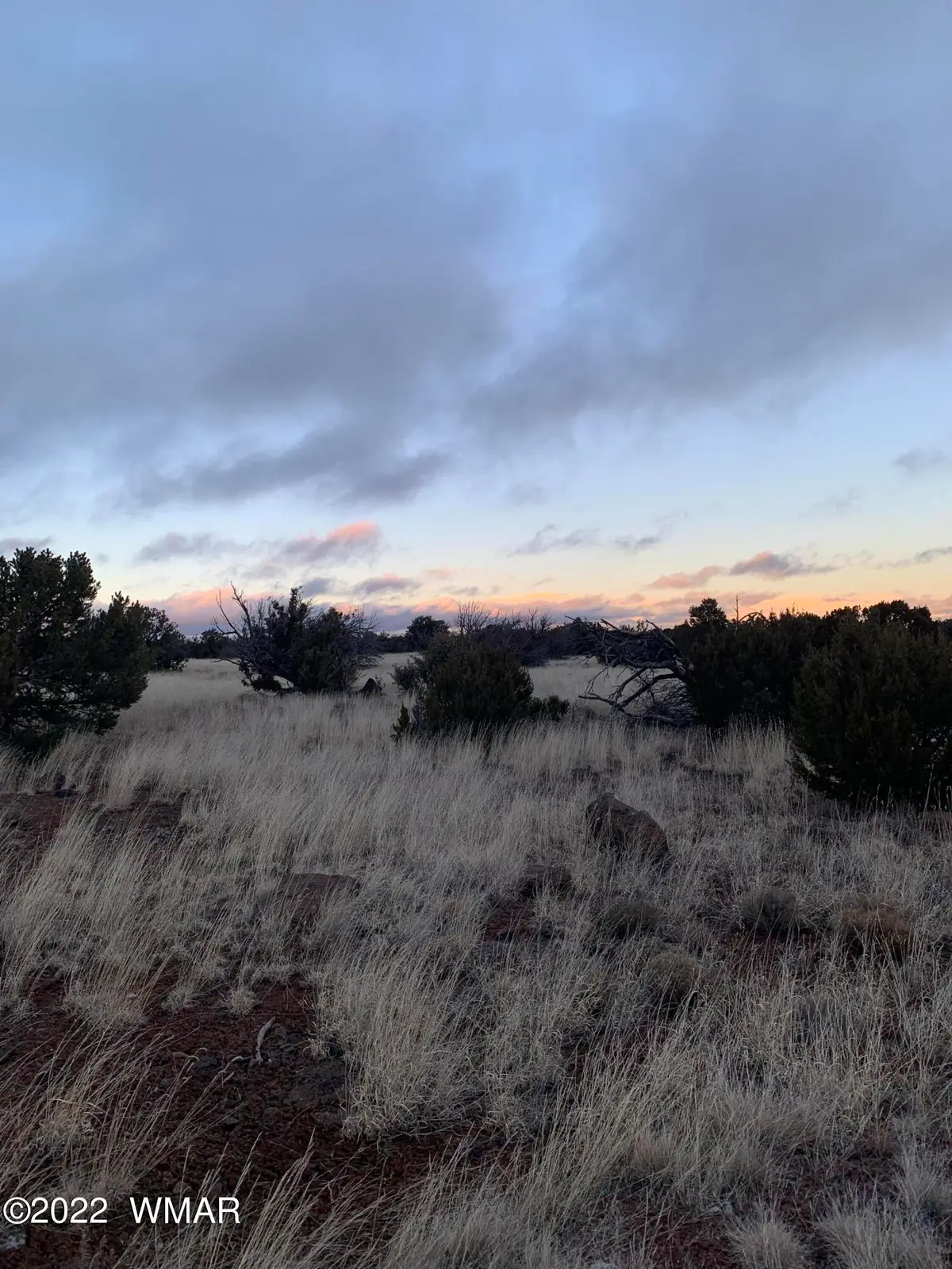 8084 County Rd 8084, Concho, AZ 85924 - #1