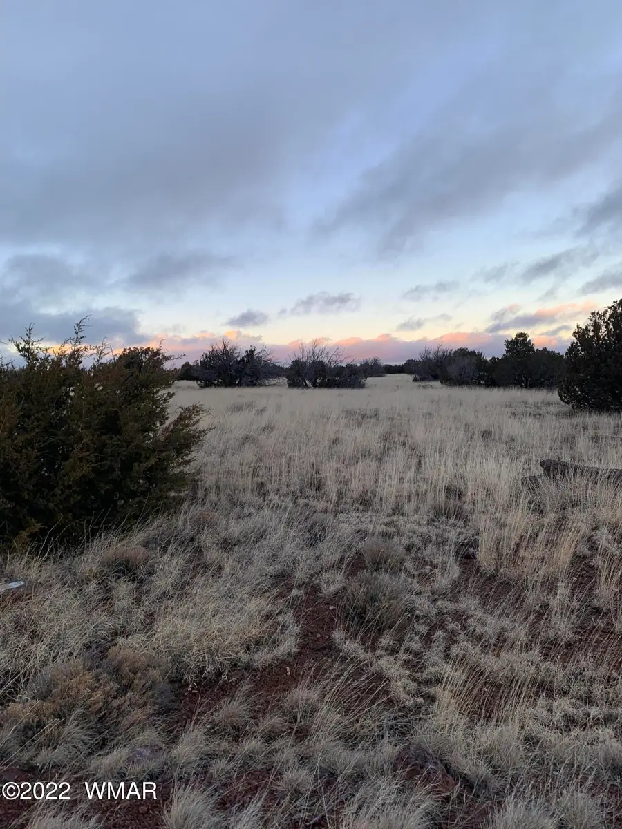 8084 County Rd 8084, Concho, AZ 85924 - #3