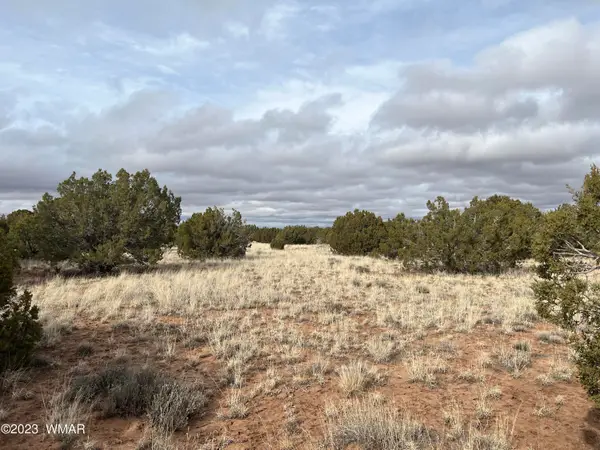 4053 S Pinto Road, Snowflake, AZ 85937