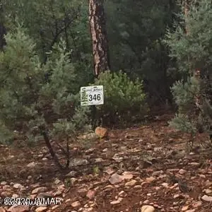 #3