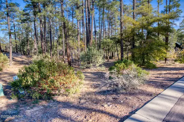 1825 S Pleasant View Drive, Show Low, AZ 85901