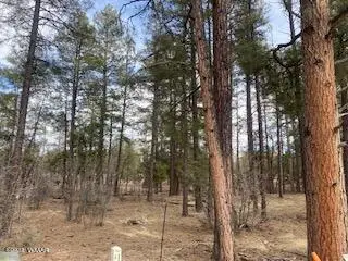 2360 Narrow Leaf Lane, Show Low, AZ 85901 - Image #2