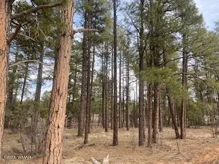 2360 Narrow Leaf Lane, Show Low, AZ 85901 - Image #3