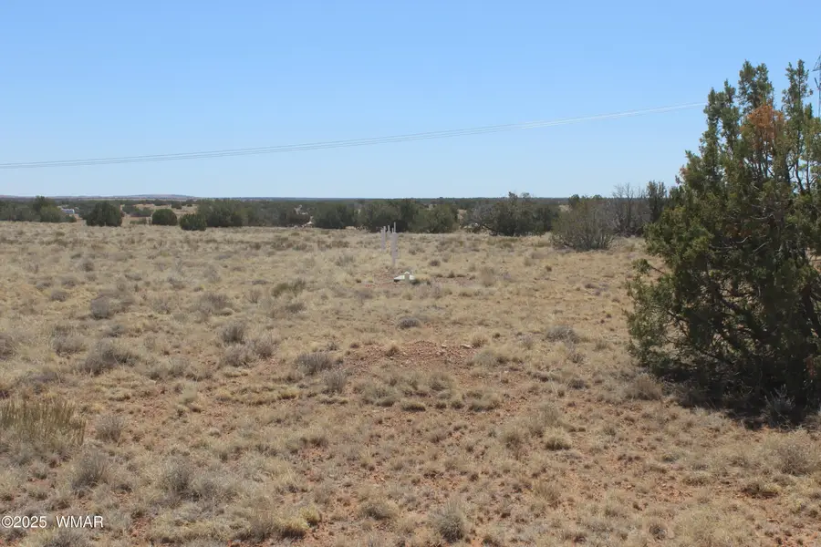 5999 Mesa View Lot 149 Drive, Heber, AZ 85928 - Image #2