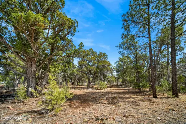 1760 S Monkshood Road, Show Low, AZ 85901
