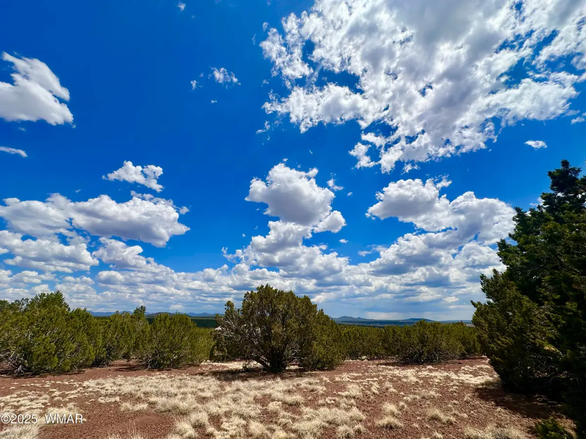 TBD County Rd N8157, Concho, AZ 85924 - Image #1
