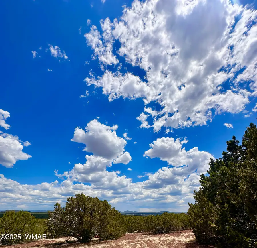 TBD County Rd N8157, Concho, AZ 85924 - Image #2