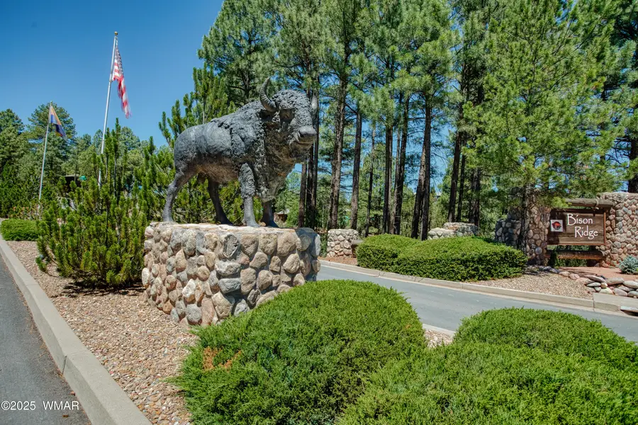 4690 West Tatanka Loop, Show Low, AZ 85901 - #2