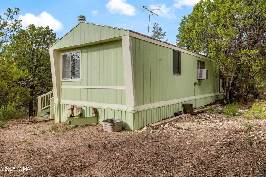 3504 Rae Circle, Overgaard, AZ 85933 - #3