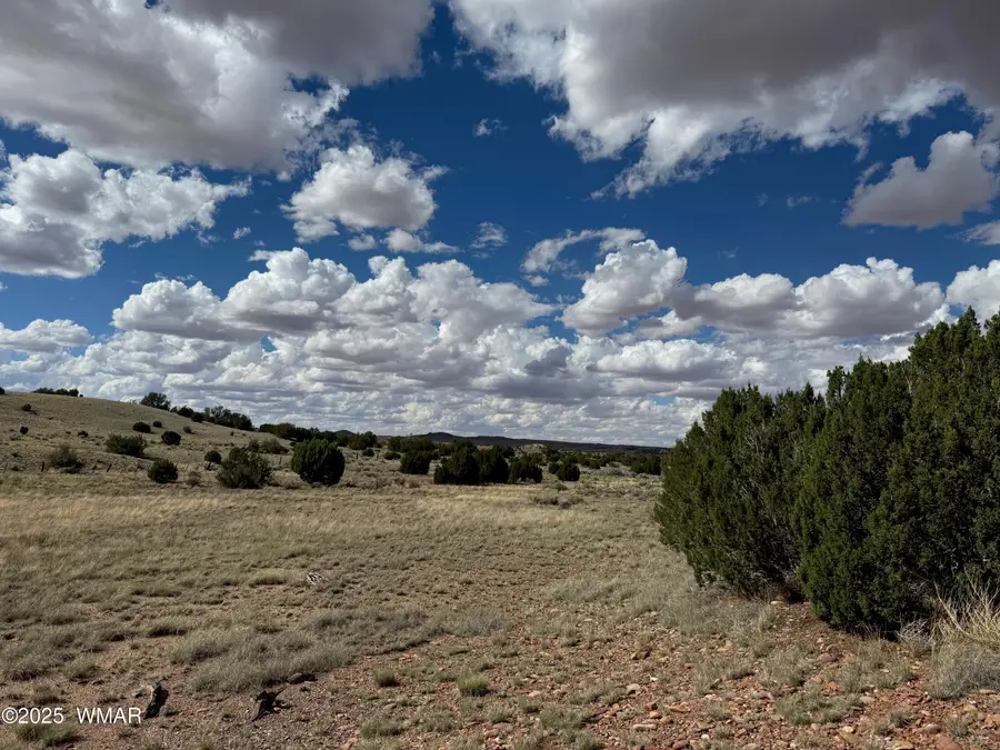 TBD Falcon Drive, Taylor, AZ 85939 - Image #2