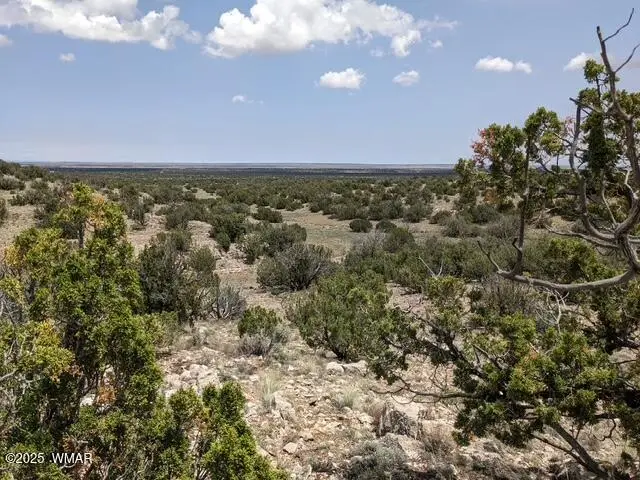 tbd Vista Point 201-21-023, Heber, AZ 85928 - Image #3