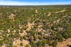 3654 Zane Grey Trail, Overgaard, AZ 85933 - Image #3