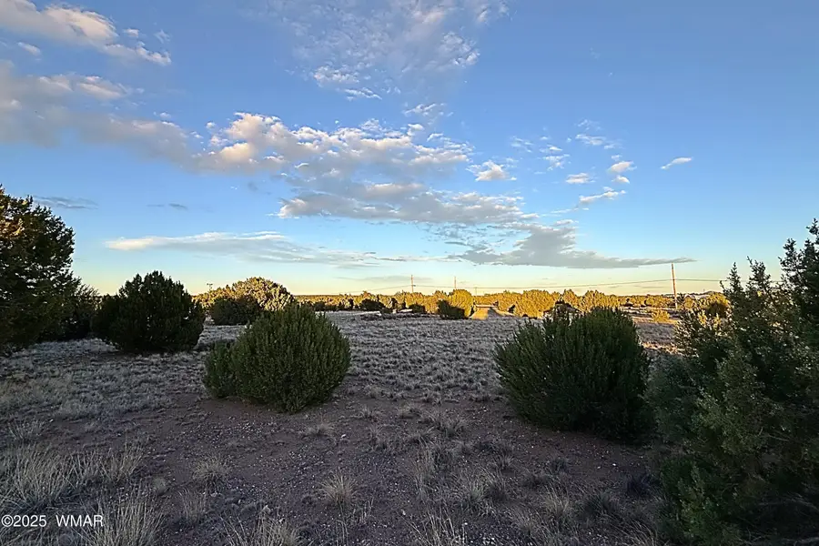#3