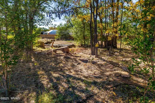 00 N Zuni Street, Springerville, AZ 85938