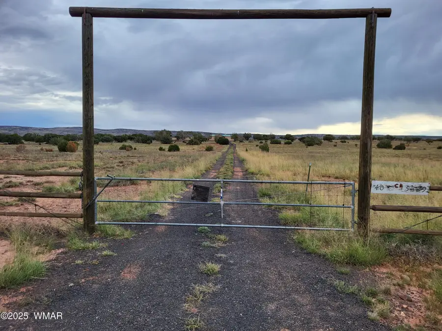 40 County Road 5309, Concho, AZ 85924 - #3