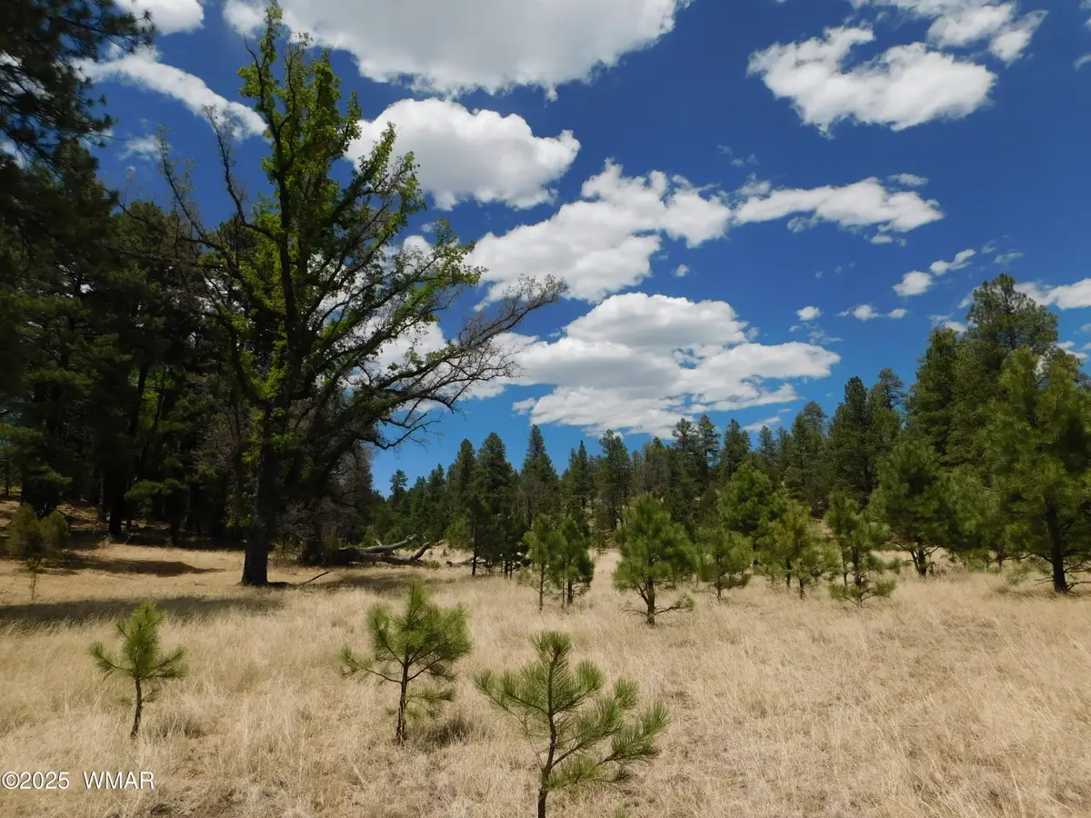 10 N2310, Alpine, AZ 85920 - Image #1