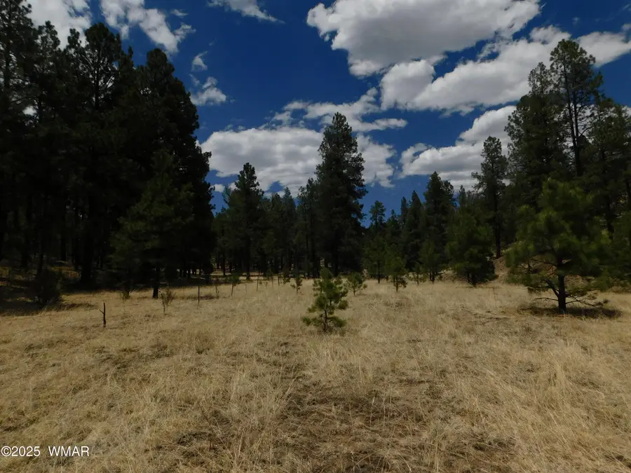 10 N2310, Alpine, AZ 85920 - Image #2