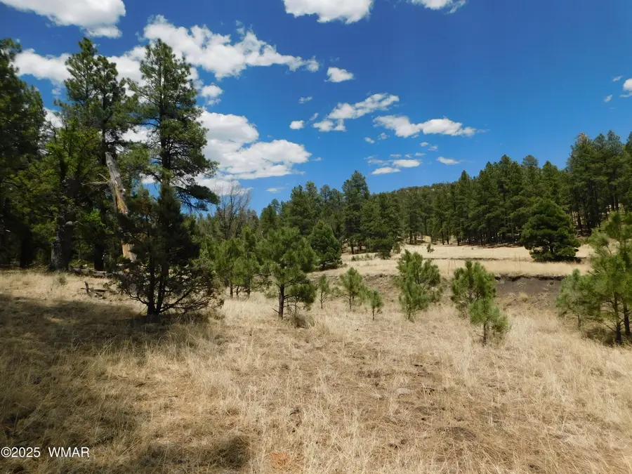 10 N2310, Alpine, AZ 85920 - Image #3