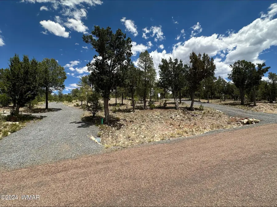 3337 Sawmill Ridge Loop, Heber, AZ 85928 - Image #2