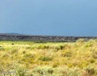 tbd Bell Brand Ranches Lot 29, Sanders, AZ 86512