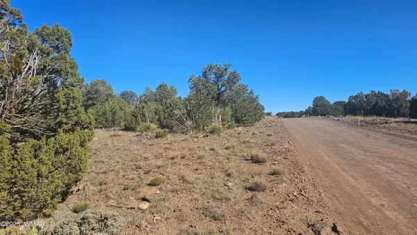 9 N3133, Vernon, AZ 85940