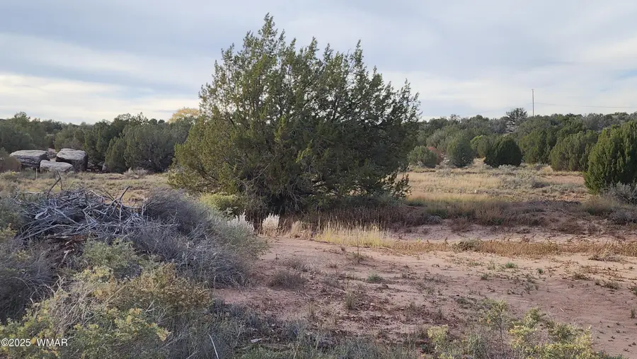 TBD W Shumway Road, Taylor, AZ 85939 - Image #2