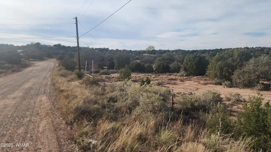 TBD W Shumway Road, Taylor, AZ 85939 - Image #3