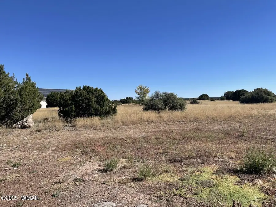 1951 Creekside Circle, Show Low, AZ 85901 - Image #2