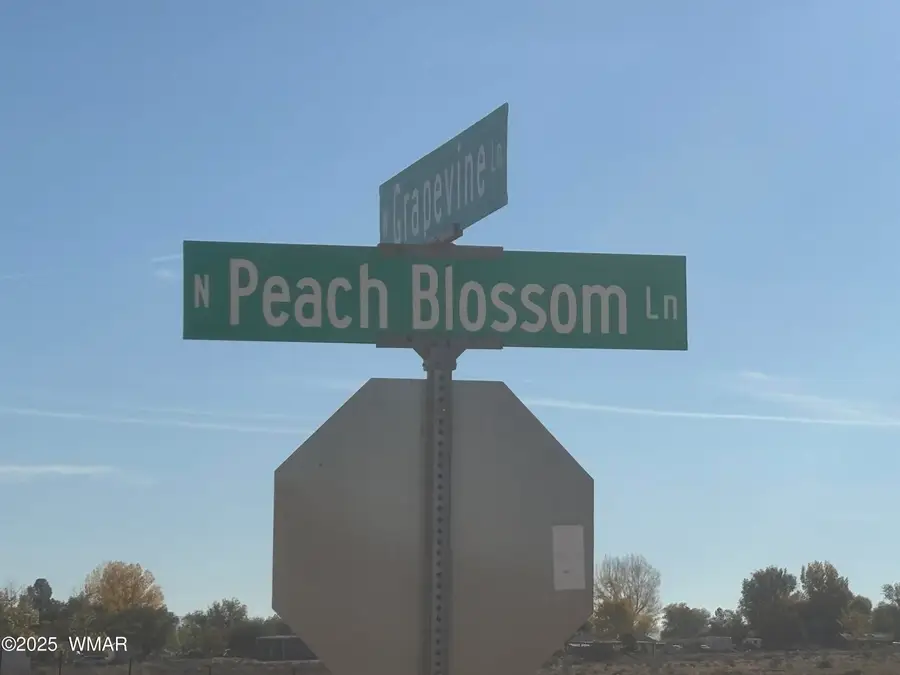 914 Peach Blossom Lane, Snowflake, AZ 85937 - Image #2