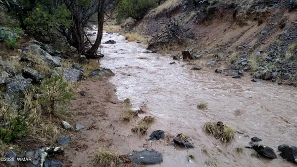 TBD 3196, Vernon, AZ 85940