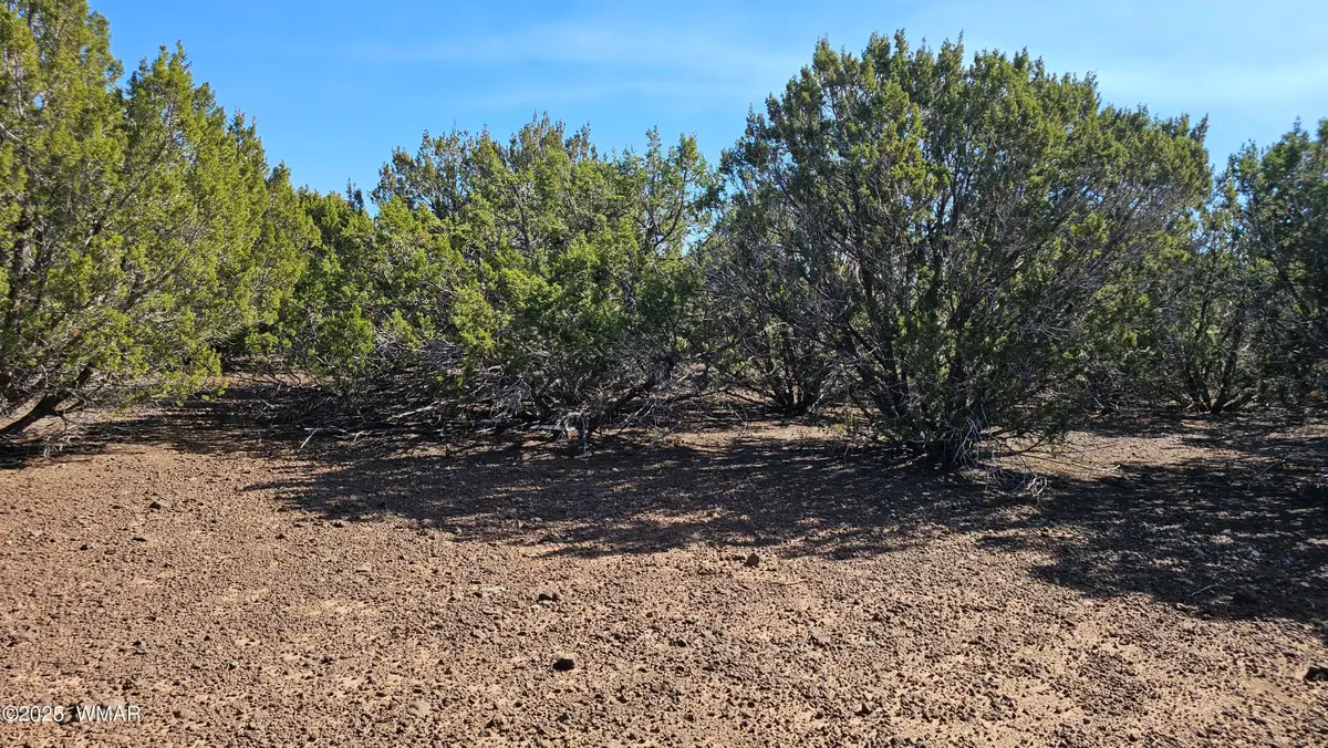 41 Acr 3119, Vernon, AZ 85940 - Image #1