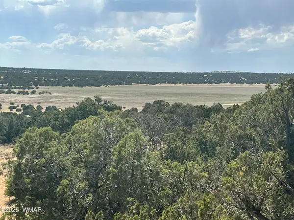 Lot 122/123, Concho, AZ 85924