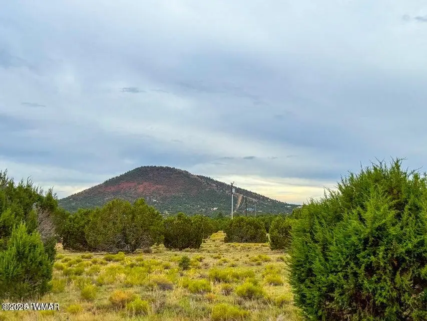 890 E Hoctor Road, Williams, AZ 86046 - Image #2