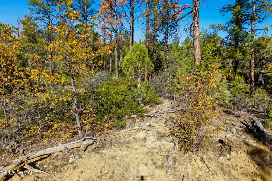 1920 S Pleasant View Drive, Show Low, AZ 85901 - Image #2