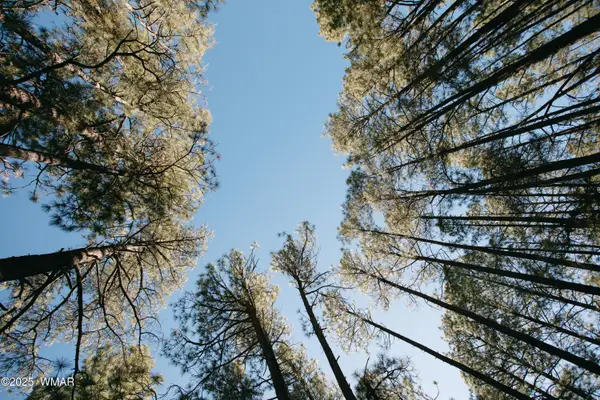 5512 Quail Run, Pinedale, AZ 85934