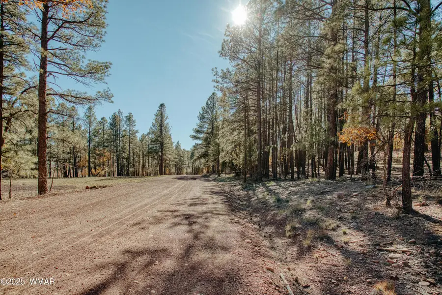 5512 Quail Run, Pinedale, AZ 85934 - Image #2