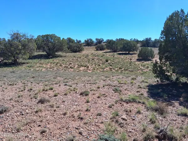 268 N 5383, Concho, AZ 85924