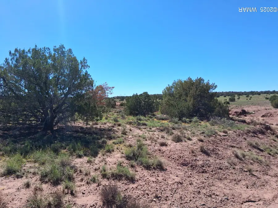 268 N 5383, Concho, AZ 85924 - Image #2