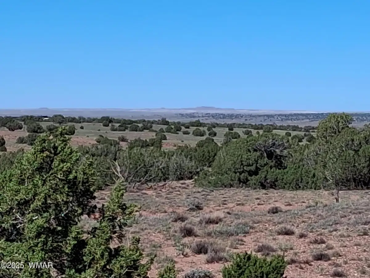 268 N 5380, Concho, AZ 85924 - Image #1