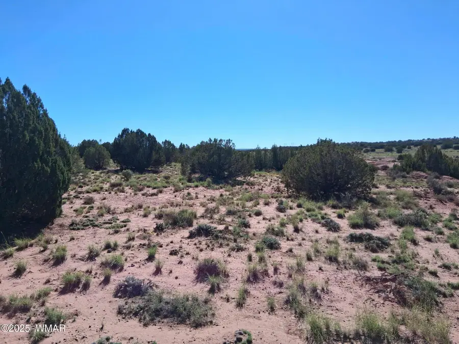 236 N9233 Se, Concho, AZ 85924 - Image #2